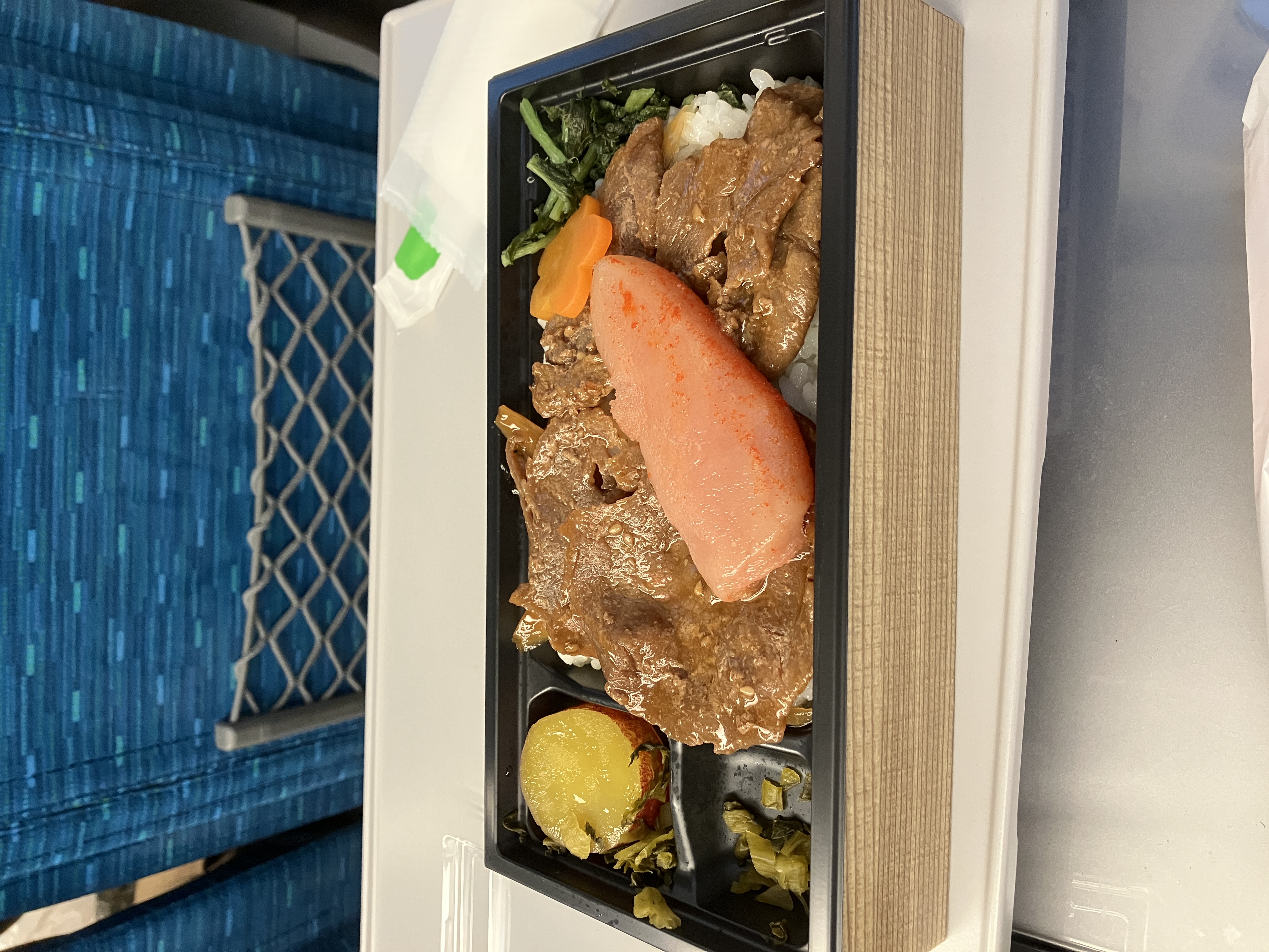 帰りの新幹線は,明太子の駅弁.