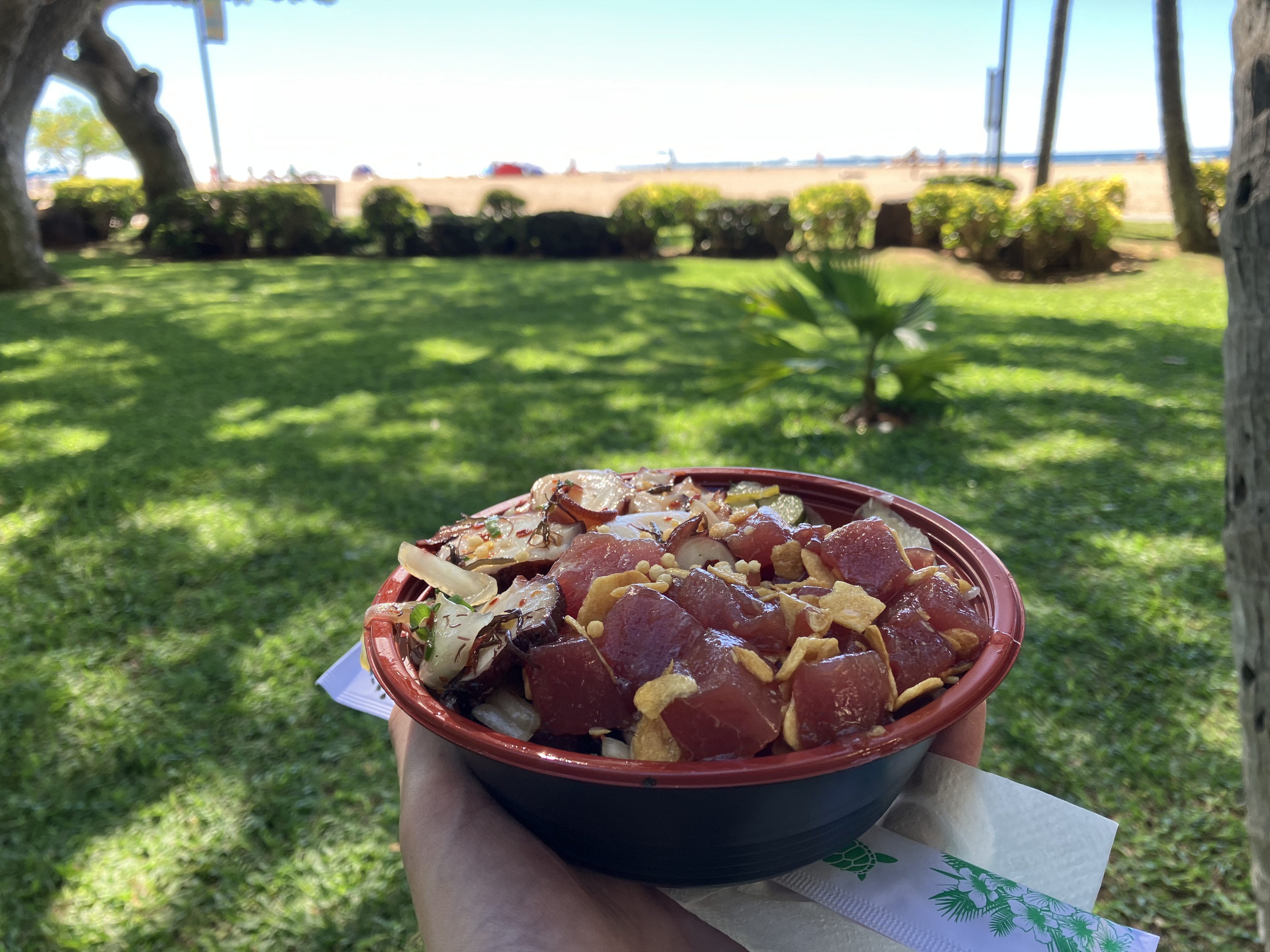 ポキ丼をテイクアウトして,飲食可能な海岸沿いで.Pokeという表記がポケモンを彷彿とさせます.