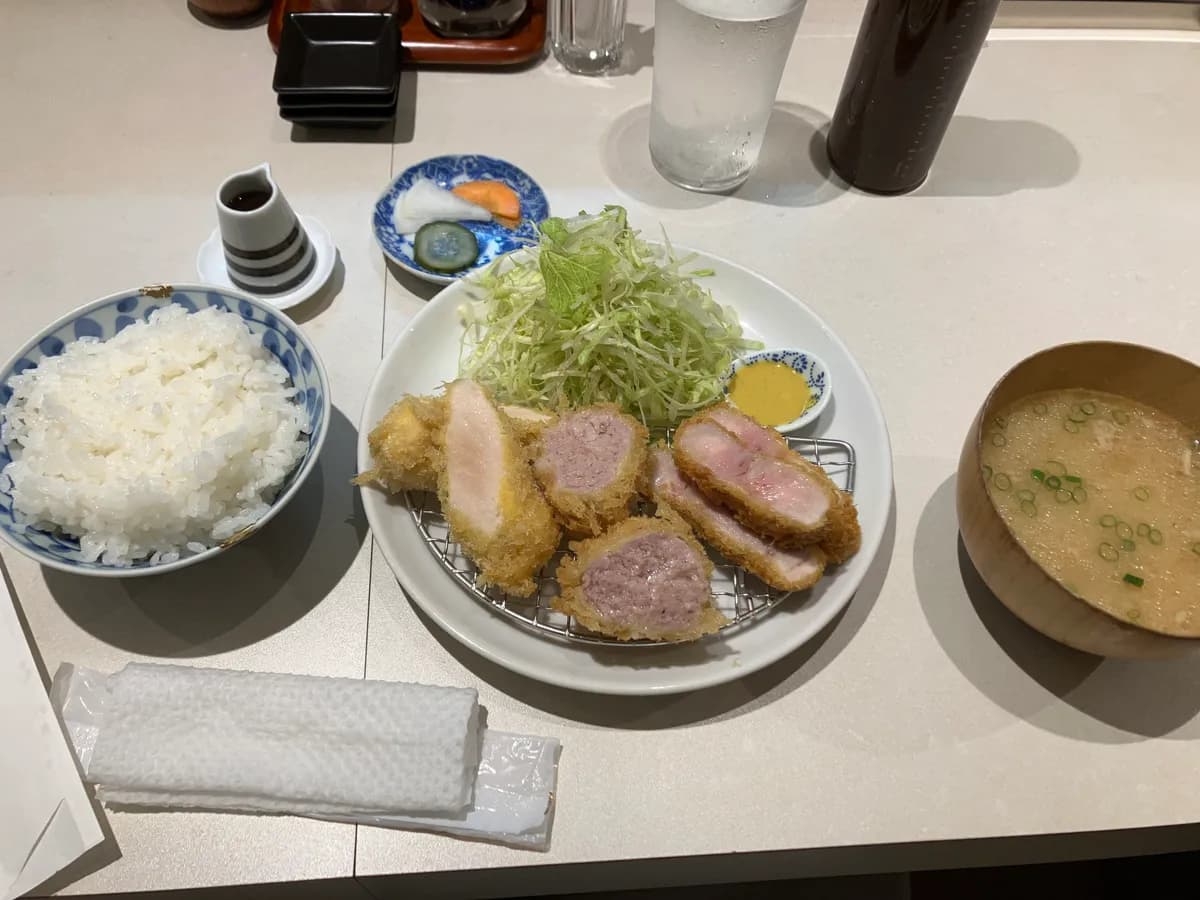 マーーーージでこのささみフライには感動しました．また食べに行きたいです．