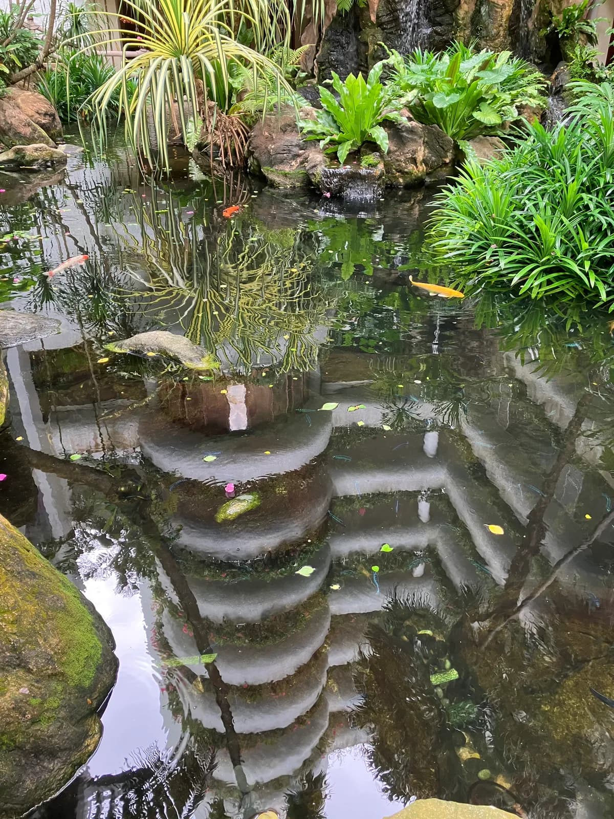 滝&池には “Koi” が泳いでいて，日本の鯉の美しさが説明されていました．